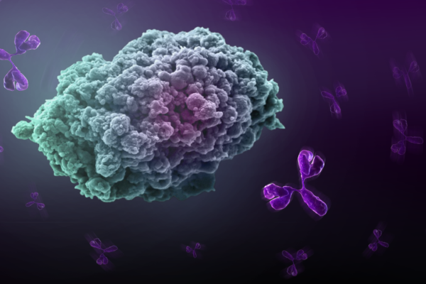 immuno-oncology-tumor-antibodies-image