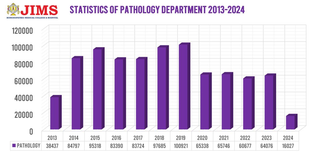 Pathology Report - 2024